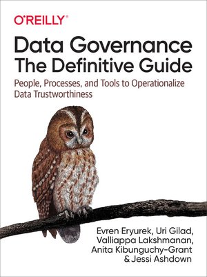 Data Governance - ebook